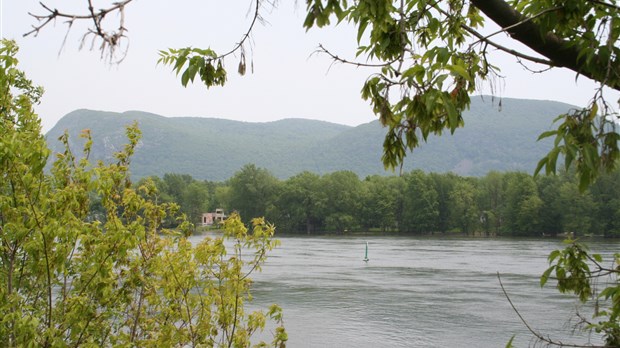 Agrandissement de la zone de protection du territoire boisé sur le mont Saint-Hilaire