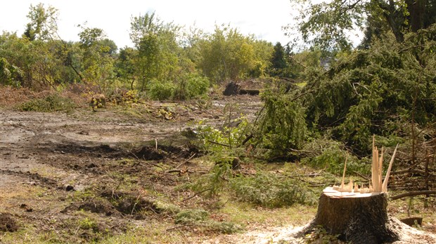 Saint-Basile-le-Grand suspend les travaux d'un promoteur immobilier