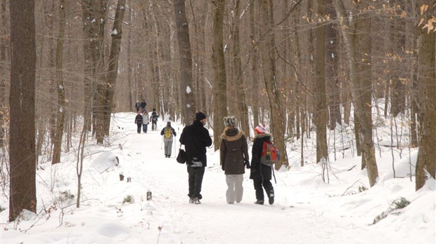 Le mont Saint-Hilaire, un endroit de choix en hiver