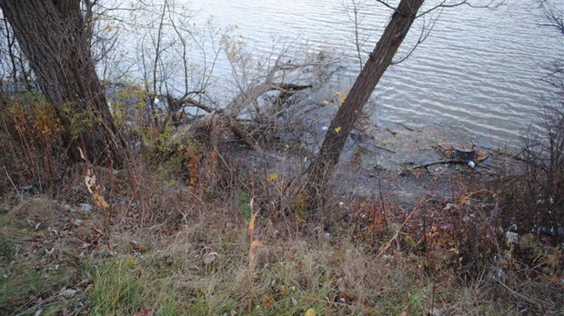 Les travaux de stabilisation des berges du Richelieu débuteront cette année