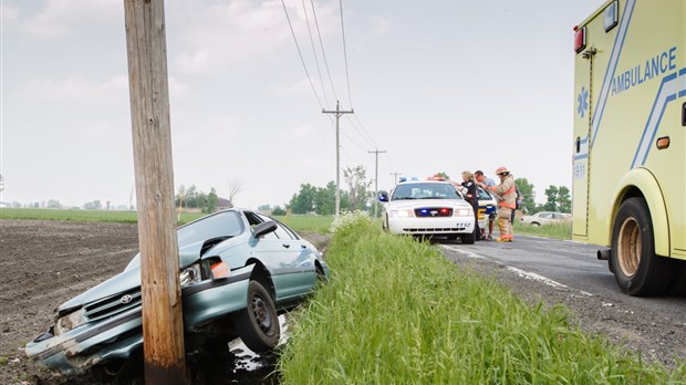 Accident causé par une abeille