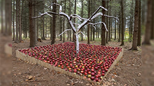 Plus de 5 000 visiteurs pour l'exposition Créations-sur-le-champs Land art