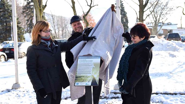 Une plaque commémorative 25 ans, de la Polytechnique 