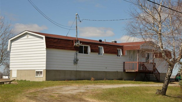Perquisition dans une « maison de pot »