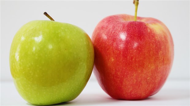 Rappel des pommes Granny Smith et Gala en raison d'une possible contamination par une bactérie