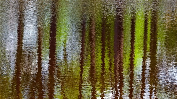 La Maison de la culture Eulalie-Durocher présente l'exposition « Lumières 12e édition »