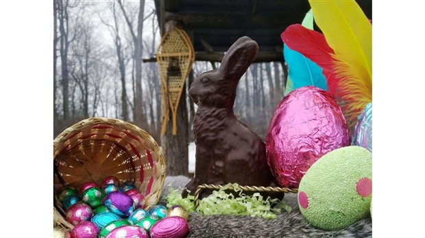 Chasse aux cocos plumés: 6e édition 