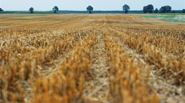 3.75 millions de dollars pour favoriser la participation des jeunes dans le secteur agricole