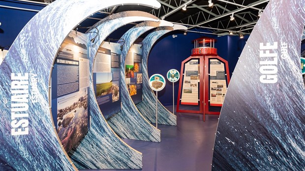 L’exposition 