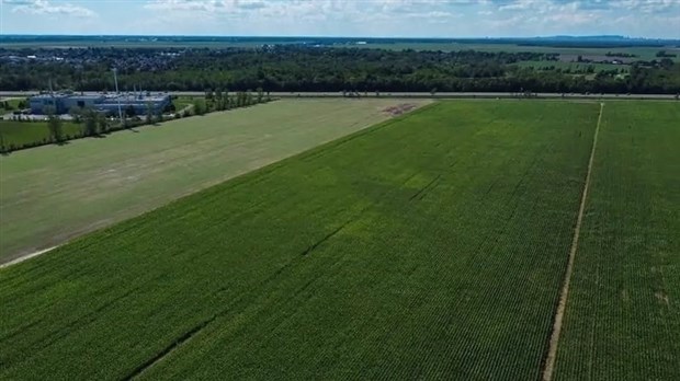 Défense du territoire agricole: l'UPA de la Montérégie dénonce l'attitude de certains élus