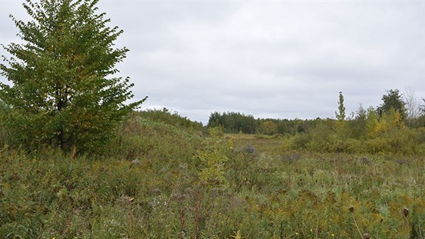 Chambly adhère au Fonds des municipalités pour la biodiversité