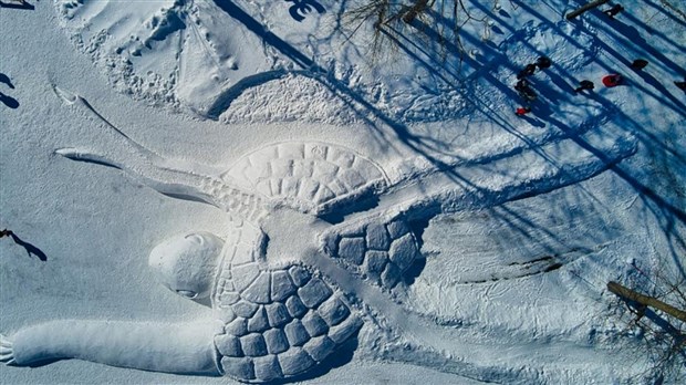 Cinq artistes réalisent une sculpture animalière de neige monumentale