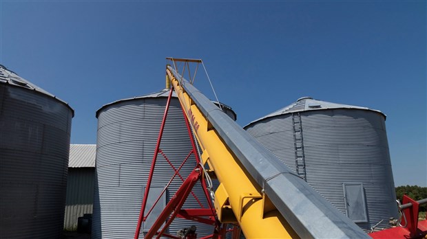 Un administrateur de l’entreprise Les Fermes Parent-Beauregard inc. perd la vie dans un silo-séchoir
