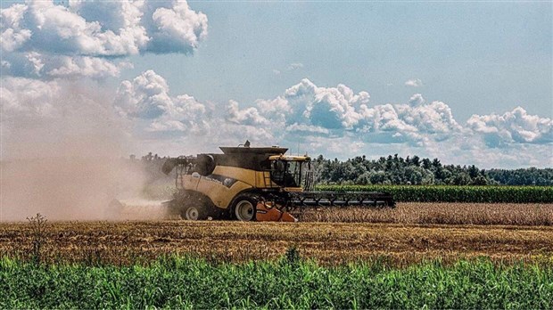 Déposer une demande au Fonds de microcrédit agricole de La Vallée-du-Richelieu