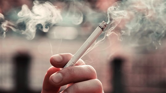Le tabac constitue une menace pour l’environnement