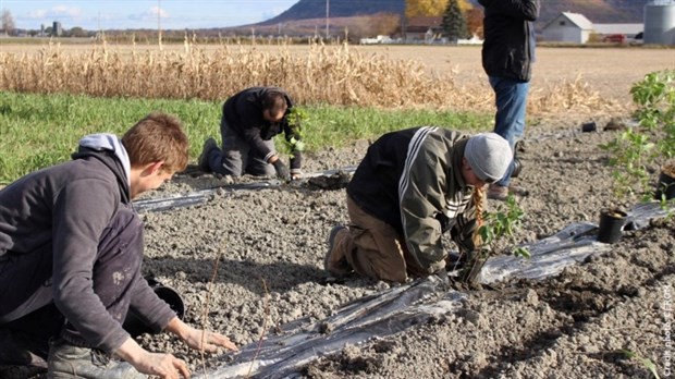 Le Programme ALUS Montérégie : plus de 23,8 ha de terres agricoles seront aménagées en 2022