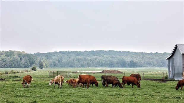 Mettre en lumière le travail innovant de plus de 50 entreprises agricoles sélectionnées en Montérégie