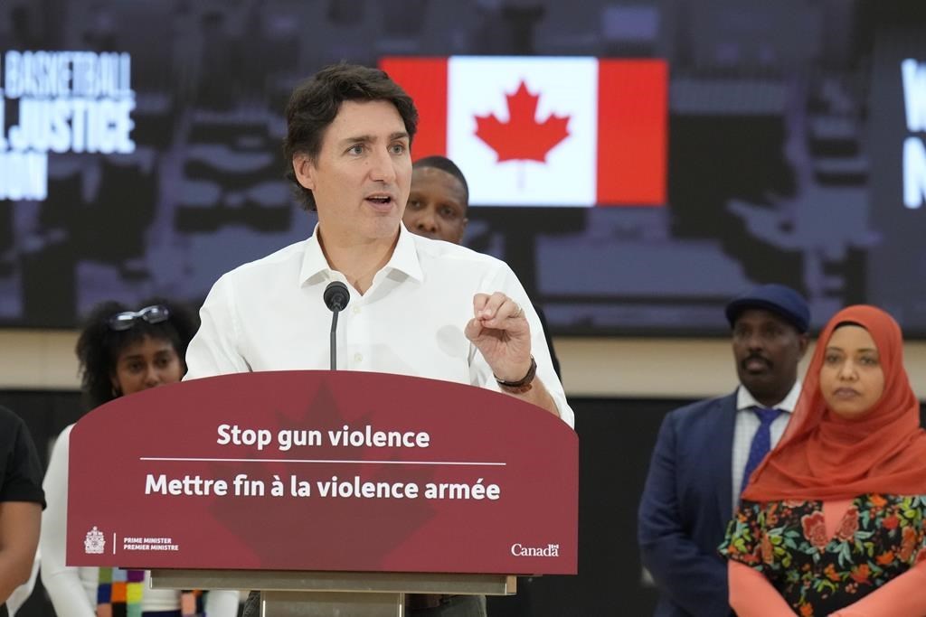 Le gouvernement crée la Journée nationale contre la violence liée aux armes à feu