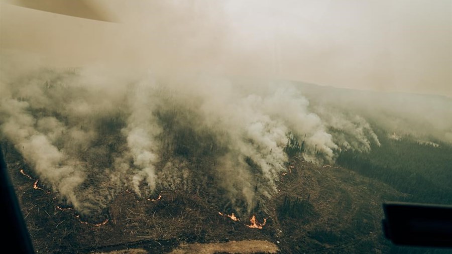 La SOPFEU ne rapporte plus de feux de forêt non maîtrisés