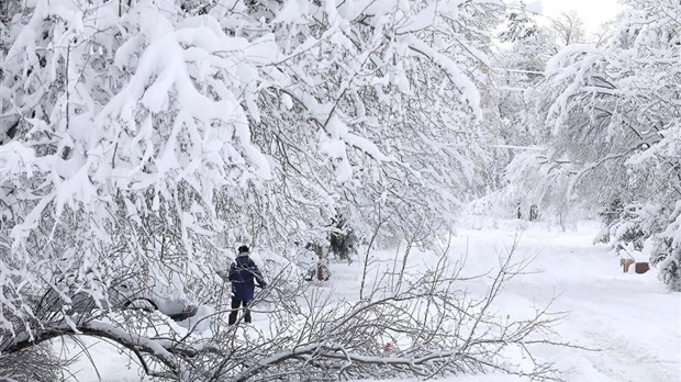 Québec: pluie et neige abondantes selon les régions à venir en fin de semaine