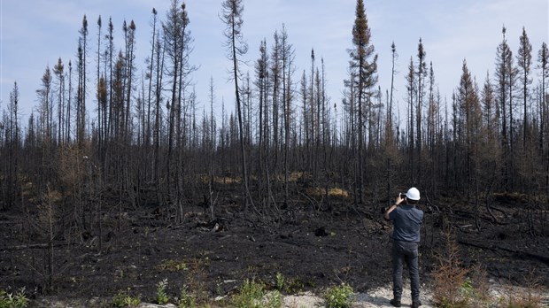 Climat: des changements structurels s'imposent, selon un avis remis au gouvernement