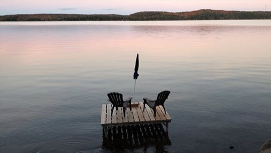 Le changement climatique est à l'origine de la prolifération des algues dans les lacs