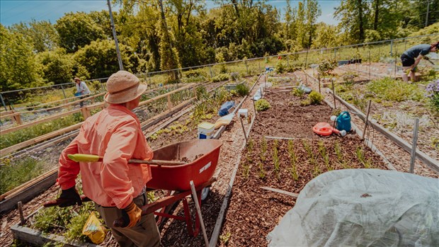 Journée portes ouvertes au Jardin communautaire de Chambly